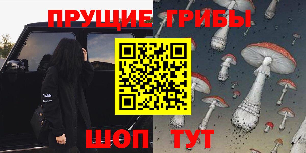 Димитровград  Галлюциногенные грибы ЛСД  Вход с VPN 